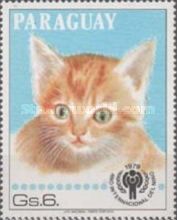 Domestic Cat (Felis silvestris catus)