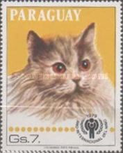 Domestic Cat (Felis silvestris catus)