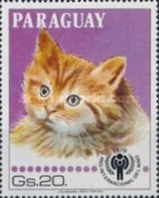 Domestic Cat (Felis silvestris catus)