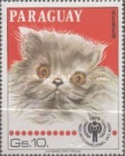 Domestic Cat (Felis silvestris catus)