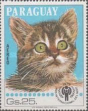 Domestic Cat (Felis silvestris catus)