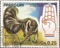 Giant Anteater (Myrmecophaga tridactyla)