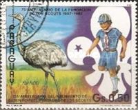 Greater Rhea (Rhea americana)