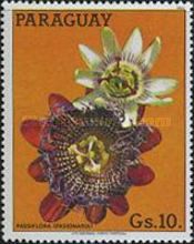Passiflora