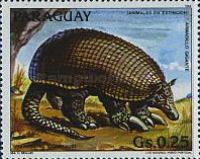 Giant Armadillo (Priodontes giganteus)