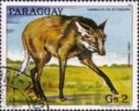 Maned Wolf (Chrysocyon brachyurus)
