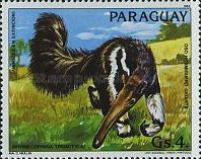 Giant Anteater (Myrmecophaga tridactyla)