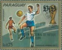 Arsenio Erico, Paraguay