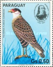 Crested Caracara (Polyborus plancus)