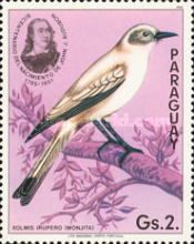 White Monjita (Xolmis irupero)