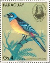 Blue-and-yellow Tanager (Thraupis bonariensis)