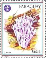 Clavaria