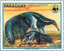 Giant Anteater (Myrmecophaga tridactyla)