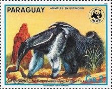 Giant Anteater (Myrmecophaga tridactyla)