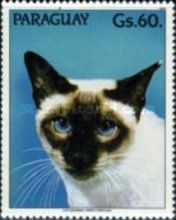 Siamese Cat (Felis silvestris catus)