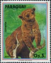 Kinkajou (Potos flavus)