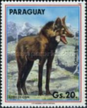 Maned Wolf (Chrysocyon brachyurus)