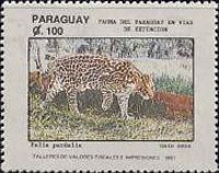 Felis pardalis