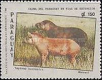 Tapirus terrestris