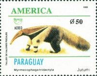 Myrmecophaga tridactyla