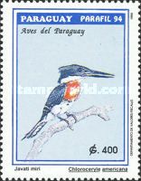 Green Kingfisher (Chloroceryle americana)