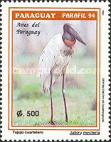 Jabiru (Jabiru mycteria)