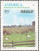 Tinfunque Reserve