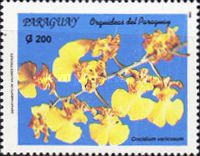 Oncidium varicosum