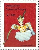 Oncidium jonesianum