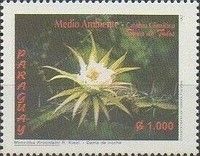 Monvillea kroenleini