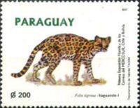 Felis tigrinus