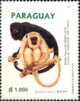 Black Howler (Alouatta caraya)