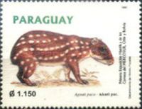 Lowland Paca (Agouti paca)