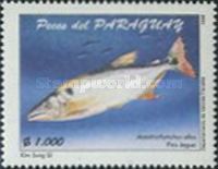 Acestrorhynchus altus