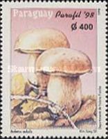 Cep (Boletus edulis)