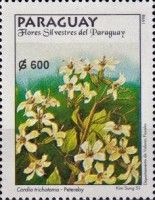 Petereby (Cordia trichotoma)