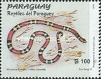 Southern Coral Snake (Micrurus frontalis)