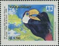 Toco Toucan (Ramphastos toco)