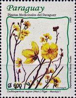Cochlospermum regium
