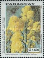 Tabebuia pulcherrima