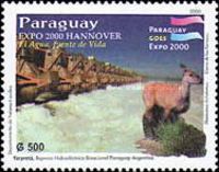 Deer and Yacyreta Dam
