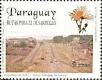 Calliandra brevicaulis and G. Rodriguez de Francia Highway