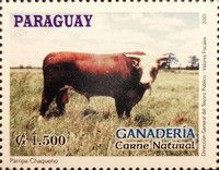 Pampa Chaqueño