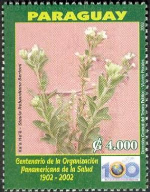 Stevia rebaudiana