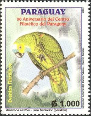 Turquoise-fronted Parrot (Amazona aestiva)