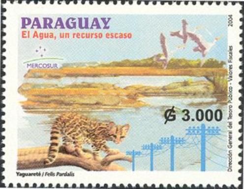 Water, a resource in short supply - Felis pardalis