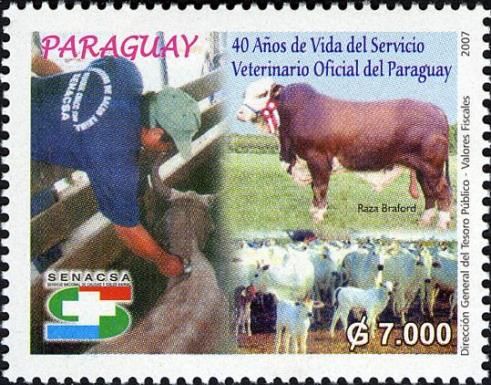 Cattle (Bos primigenius taurus), Veterinarian