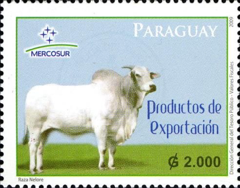 Zebu (Bos primigenius indicus)