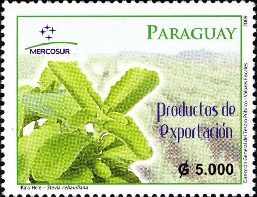 Stevia rebaudiana