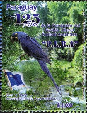 Hyacinth Macaw (Anodorhynchus hyacinthinus)